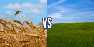 battle-367714-1428052220