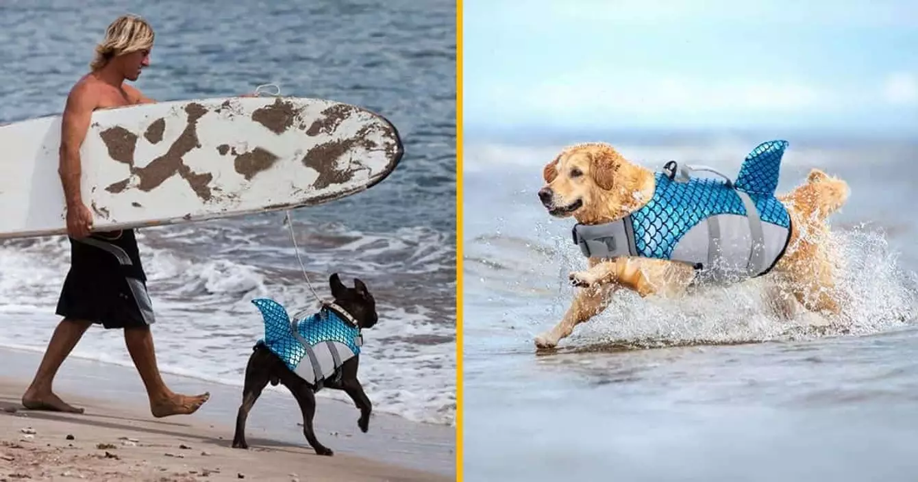 Gilet de sauvetage pour chien-requin