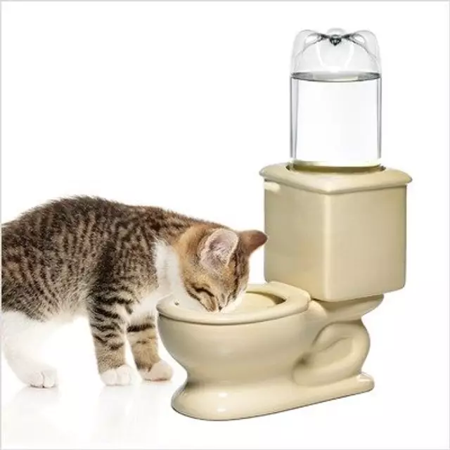 cuvette-chat
