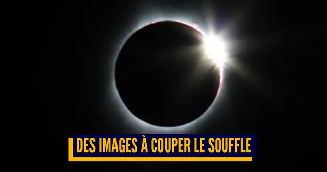 totaleeclipseducoeur