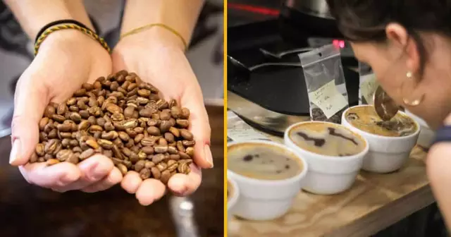 atelie-torrefier-cafe