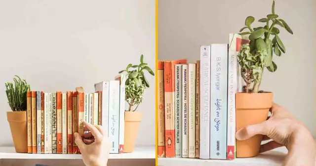 serre-livre-pot-fleur