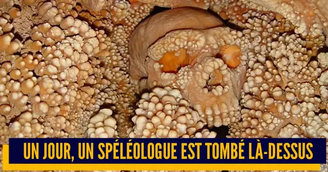 une_archeologie_flip