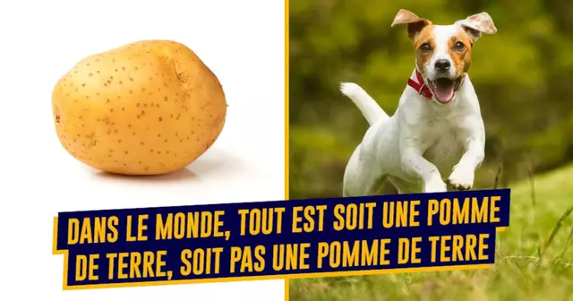 top tout le monde daccord