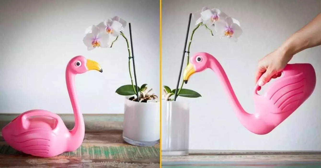 arrosoir-flamant-rose