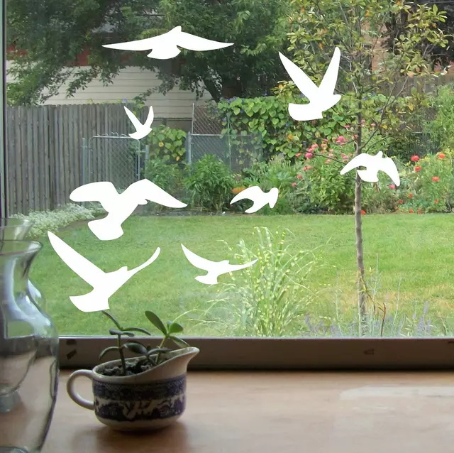 91oIiGuuOBL._SL1500_