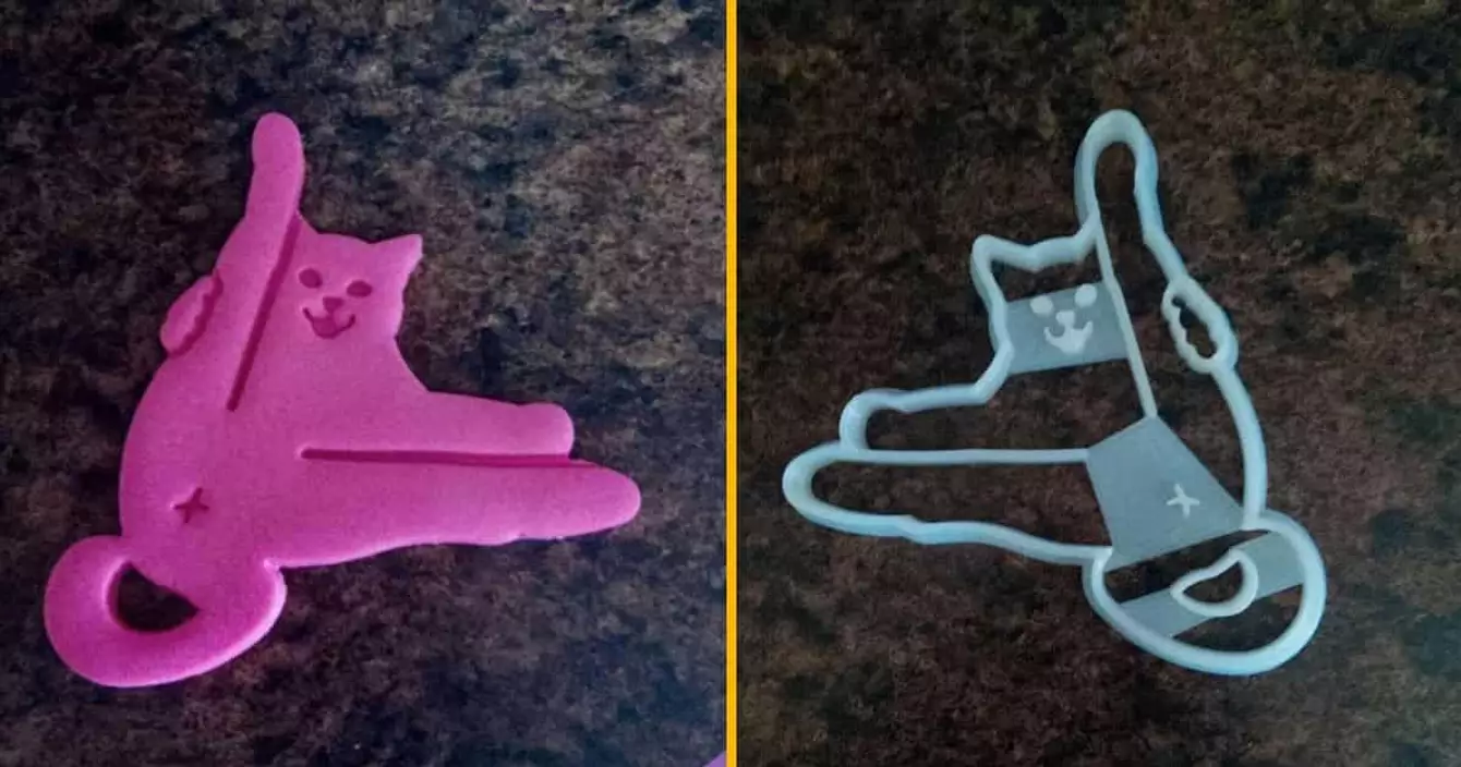 emporte-piece-chat-anus