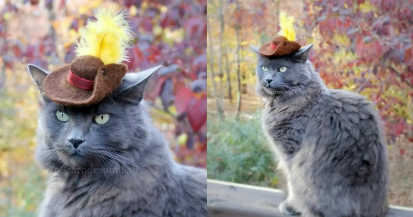 chapeau-chat-botte