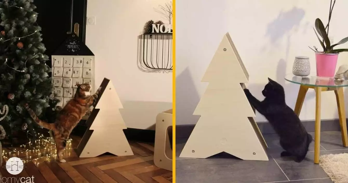 griffoir-pour-chat-sapin