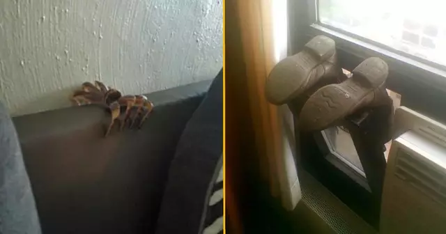 une_illusions_flippantes