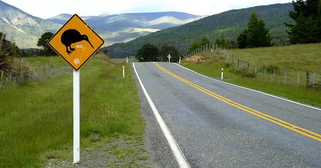 Kiwi_road_sign,_New_Zealand