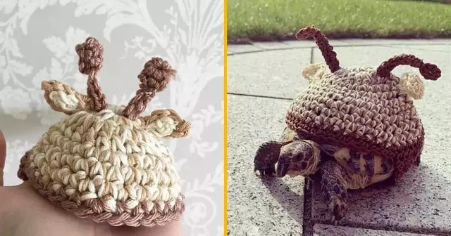 costume-girafe-tortue