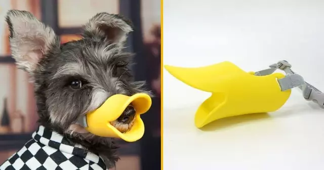 museliere-bec-canard-chien