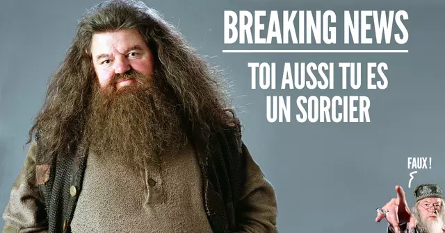 une-harry-potter
