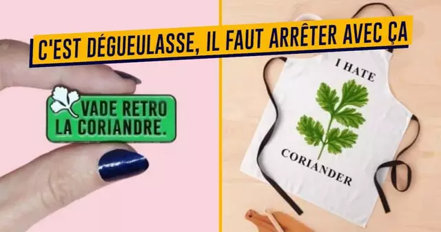 UNE-SHOPPING-HATRE-CORIANDRE