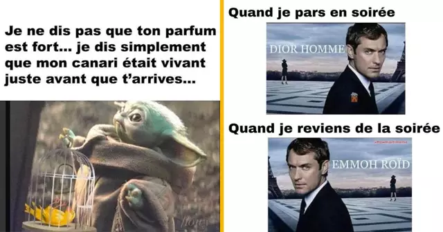 top memes parfum