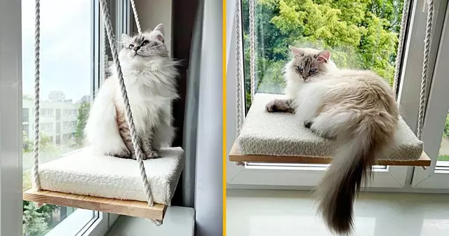 hamac-fenetre-pour-chat