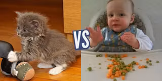 battle-358867-1424715047