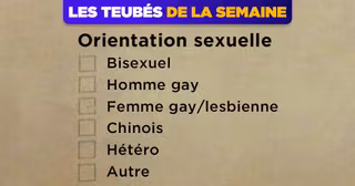 UNE_TOPITO_teubes-questionnaire