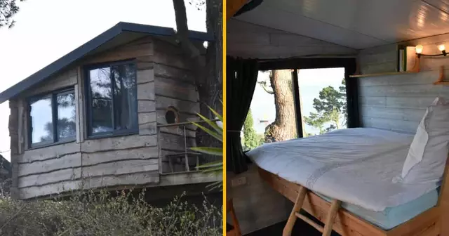 hebergement-insolite-bretagne-cabane-bord-mer-logonna-daoulas