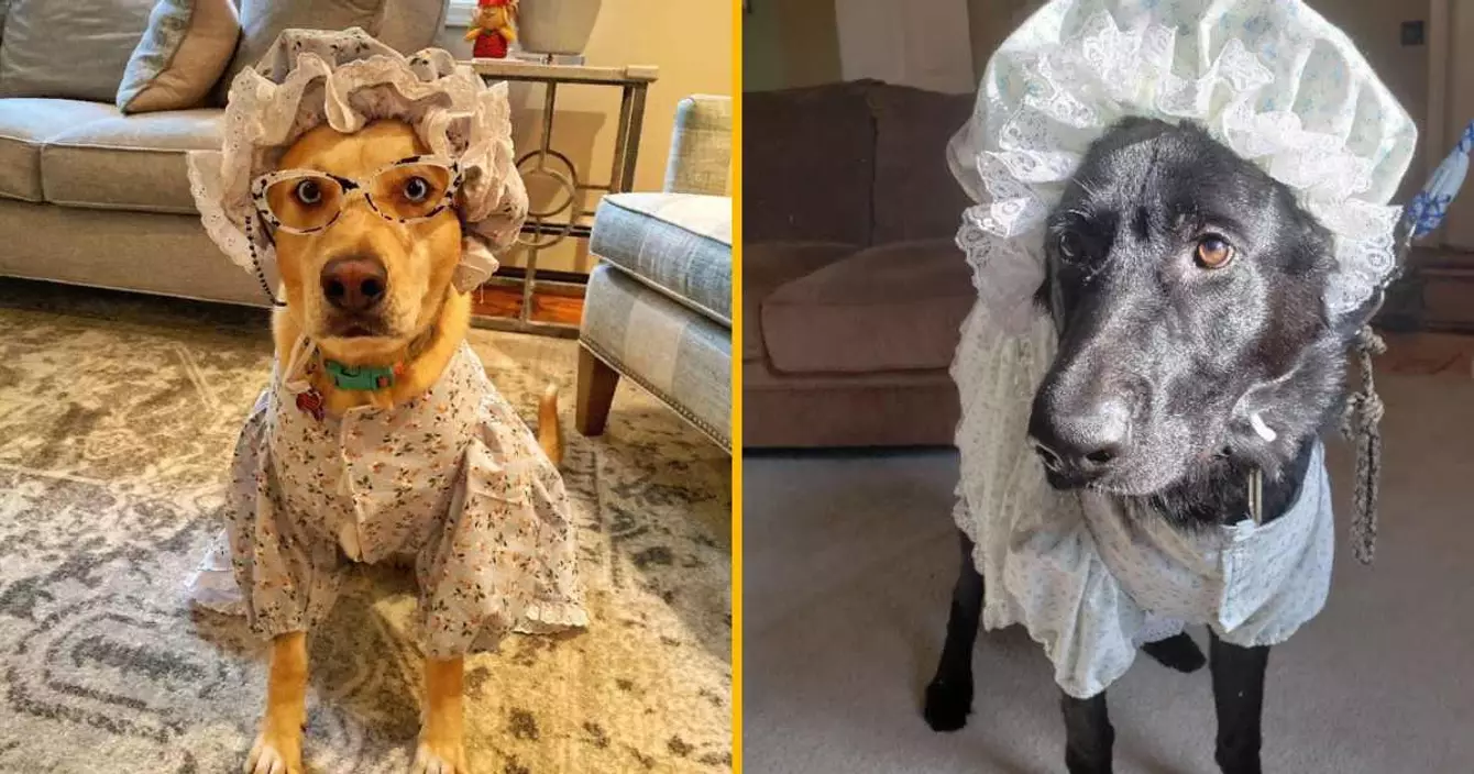 deguisement-grand-mere-chien