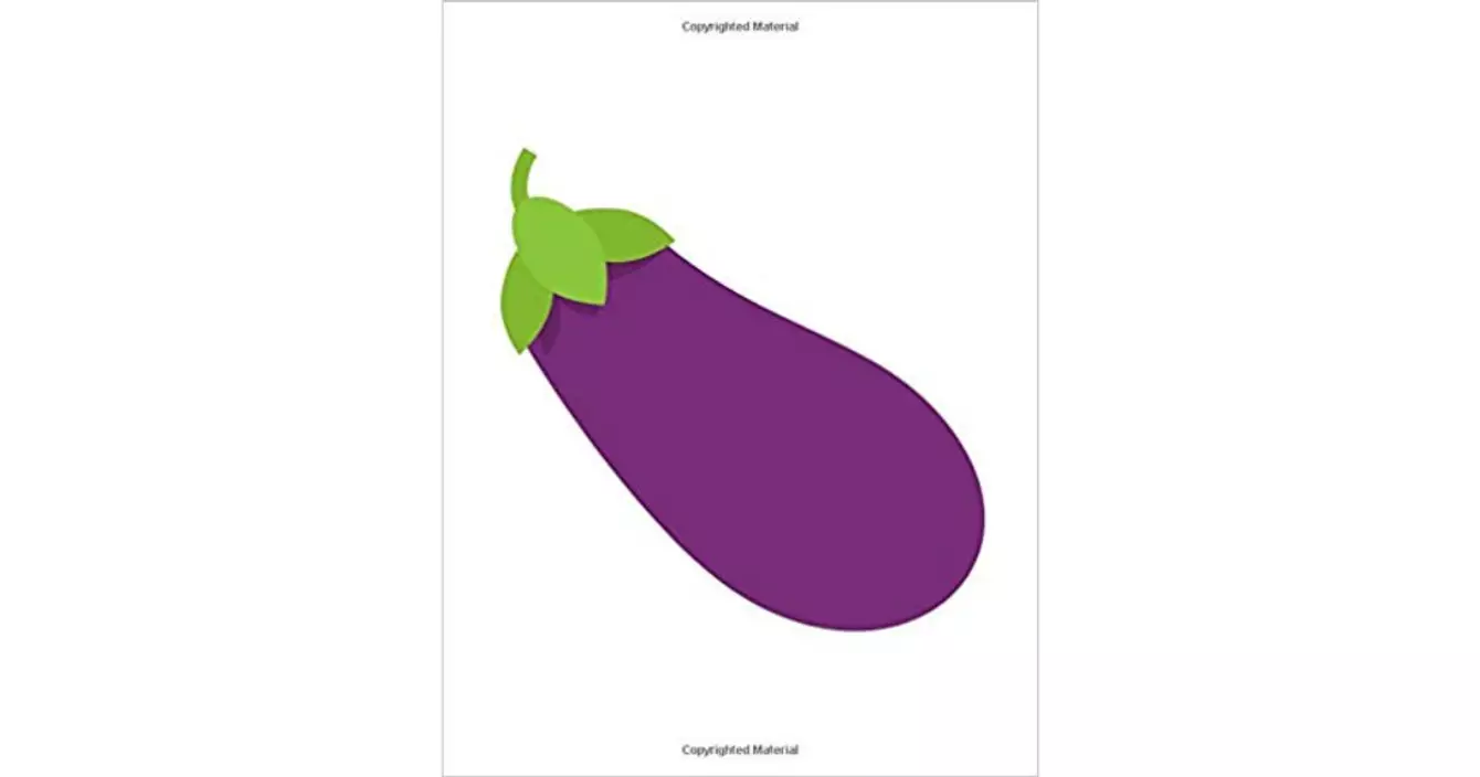 carnet-aubergine