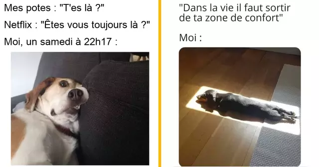 top memes flemme sortir