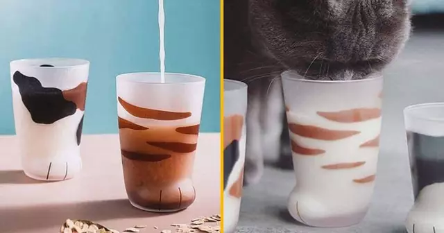 tasse-patte-chat-kawaii