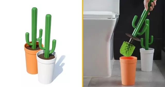 balais-brosse-cactus-aie-aie-aie-ouille