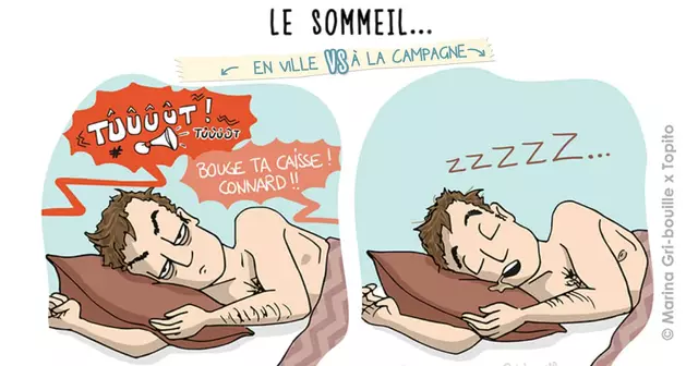 Topito-Illustration-9