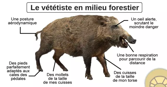 UNE_REDAC_memes-decentralises