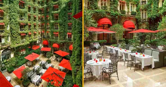 la-cour-jardin-restaurant-paris