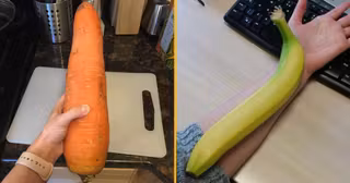 top fruits legumes transgéniques