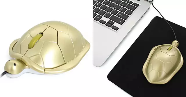 souris-ordinateur-tortue