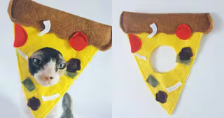 chapeau-pizza-chat