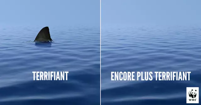 pubs_intelligentes_2018