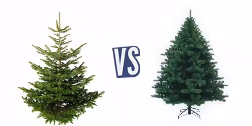 battle-345685-1419267694