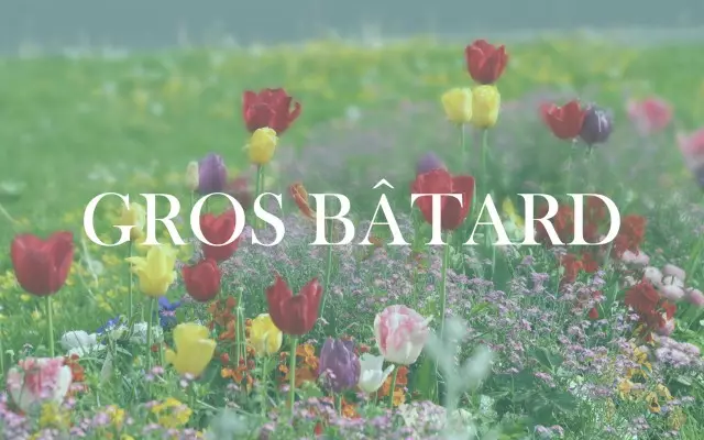 tumblr_m4scrkVqwf1rwiscuo1_1280