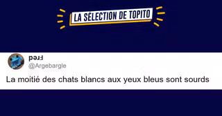 top savoirs inutiles 2