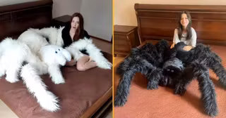 peluche-araignee-geante