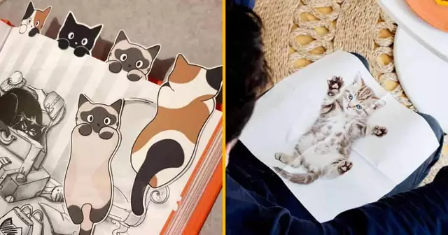 UNE_SHOPPING_MEILLEUR_CADEAU_FAN_CHAT