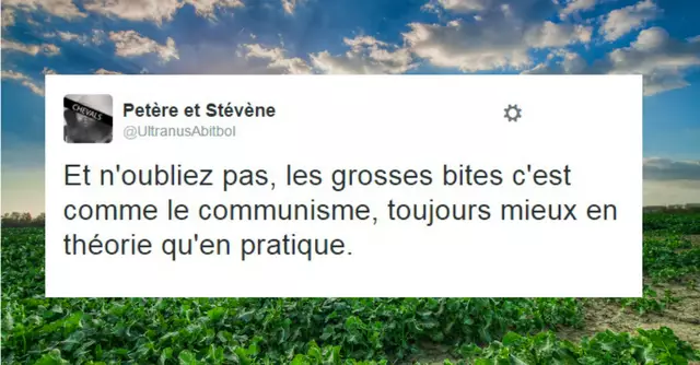 Une_tweet