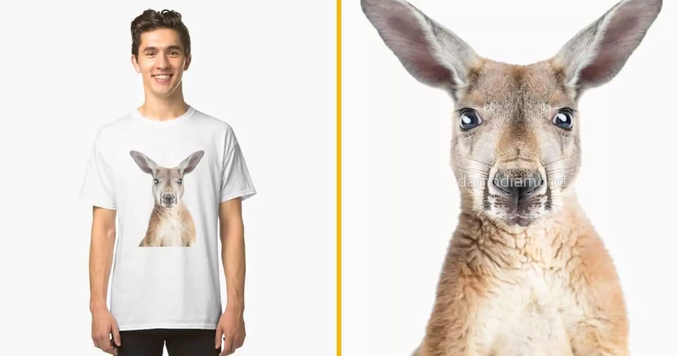 t-shirt-visage-kangourou