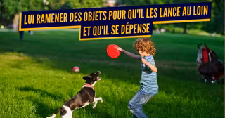 chien jeu humain (1)