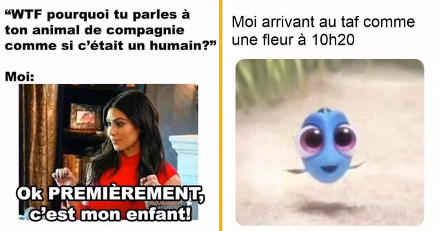 top memes semaine 16