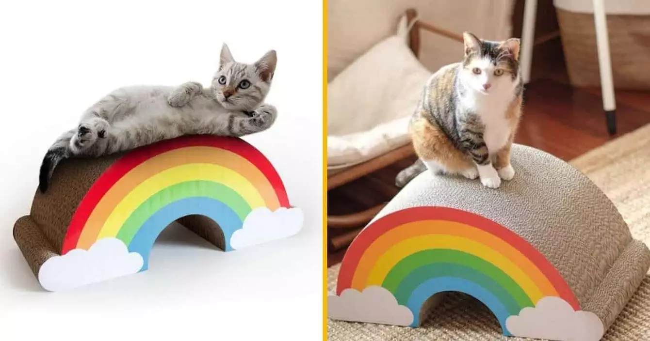 grattoir-arc-en-ciel-chat-