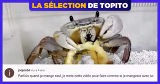 une-top-commentaires-chelou-youtube-2