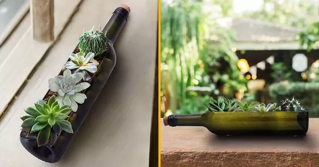 pot-fleurs-bouteille-vin