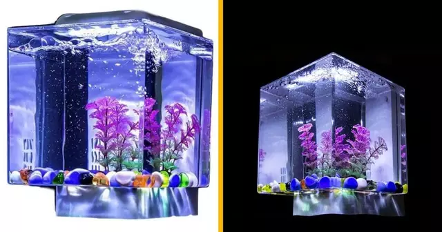 aquarium-led-grand-moderne