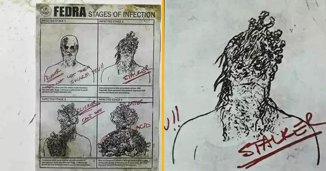 affiche-differentes-etapes-infections